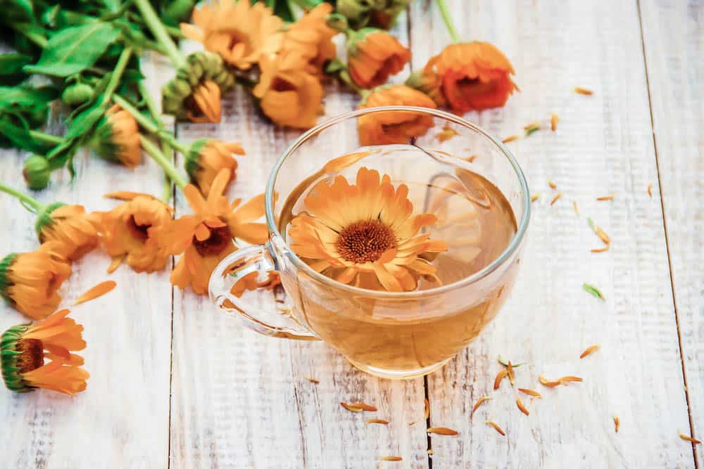 5 ways to use calendula tea - Botany Culture Co.
