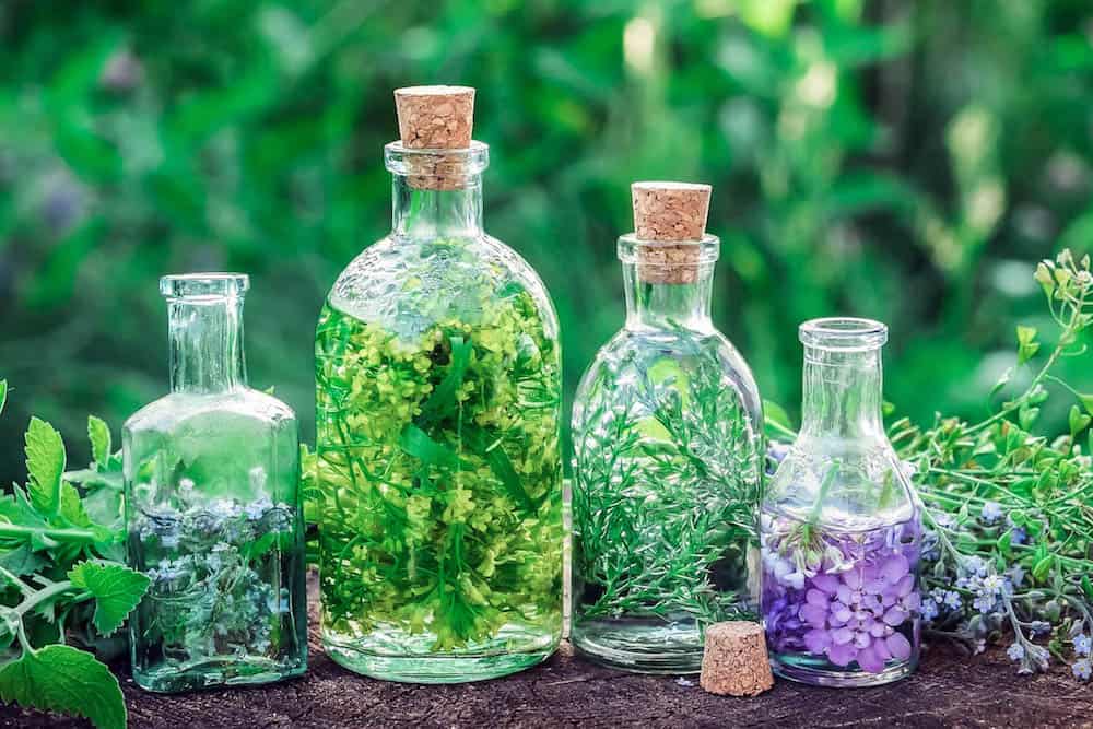 Your Easy Guide to Herbal Infusions & Decoctions Herbalism 101